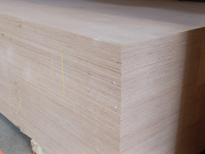 Beuken multiplex 20 mm dik