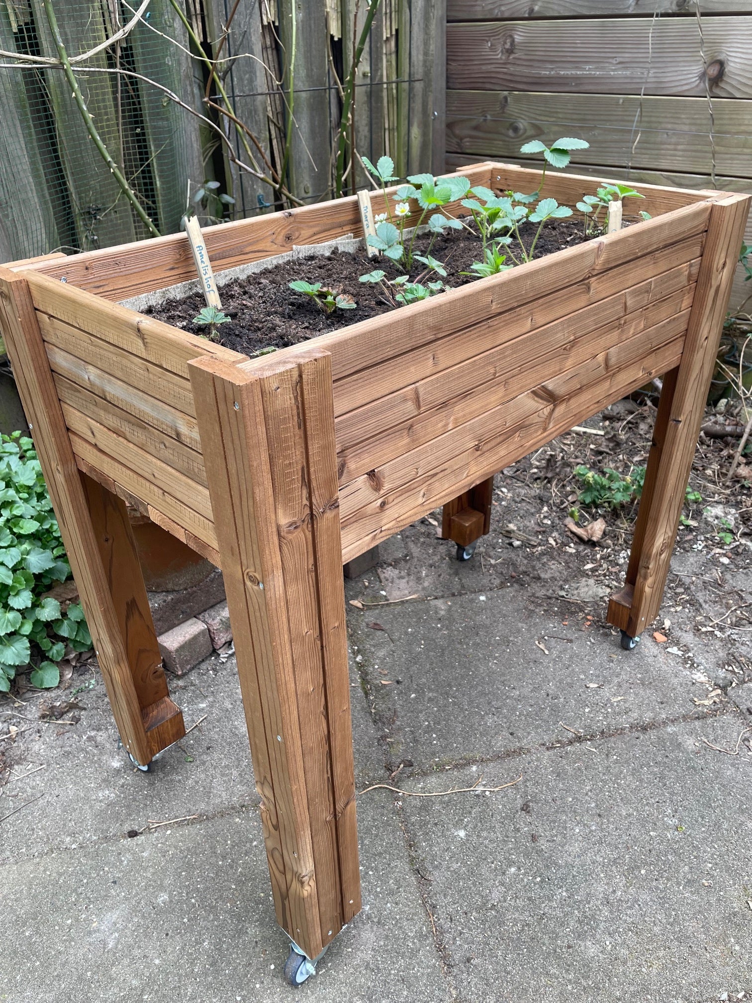 MOESTUINBAK / PLANTENTAFEL / KRUIDENTUIN - HALVE DAG WEEKENDWORKSHOP