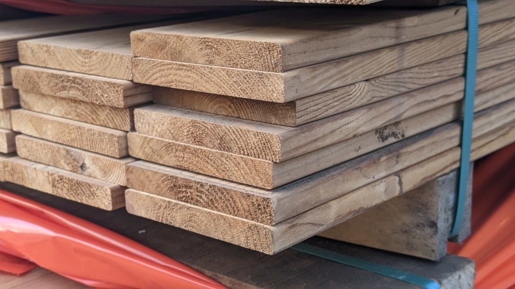 Platowood Grenen