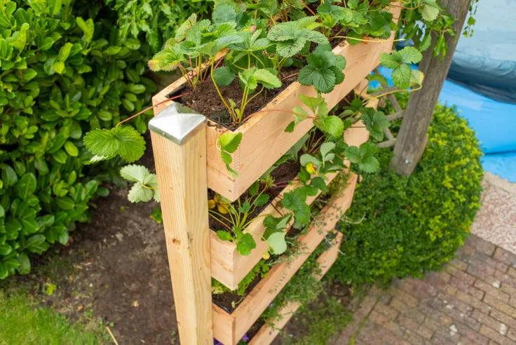 MOESTUINBAK / PLANTENTAFEL / KRUIDENTUIN - HALVE DAG WEEKENDWORKSHOP